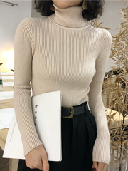 Valentina Ribbed Knit Turtleneck