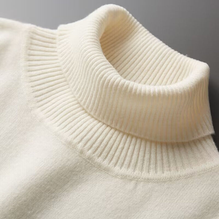 Clotilde Ribbed Knit Turtleneck