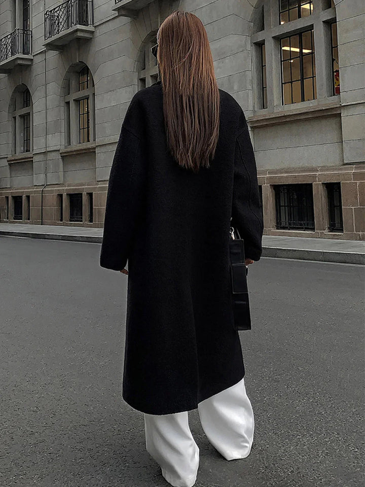 Elegant Winter Look - 1