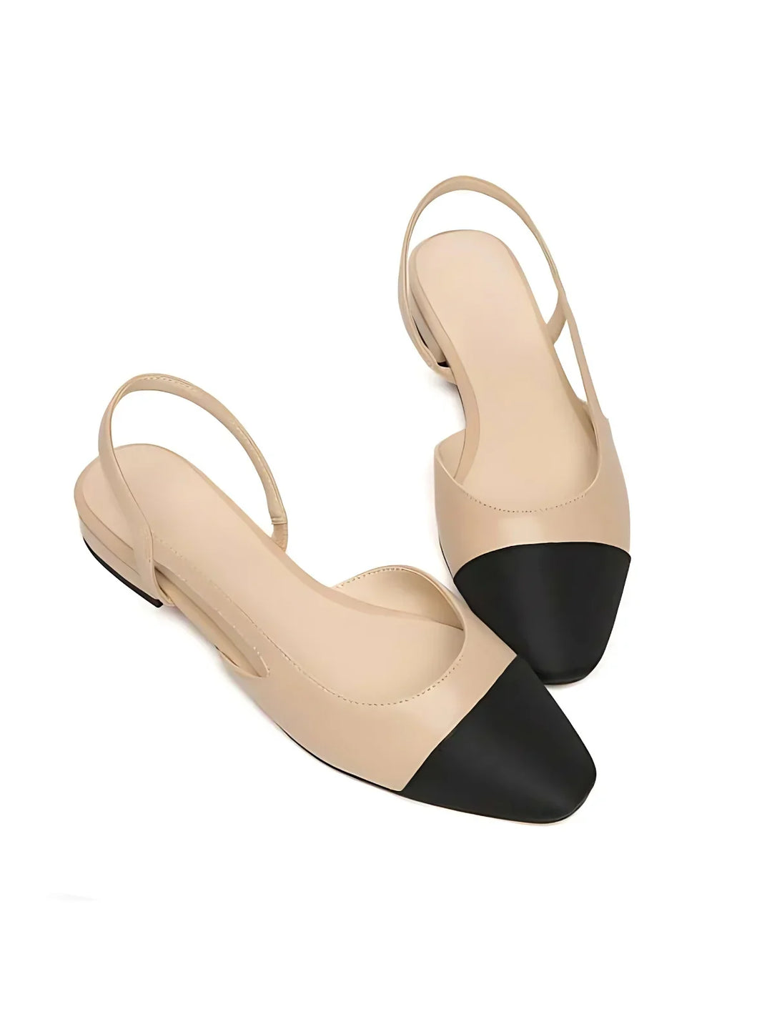 Fall & Winter Capsule - 2