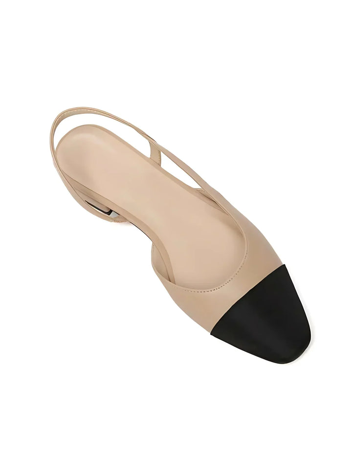 Fall & Winter Capsule - 2