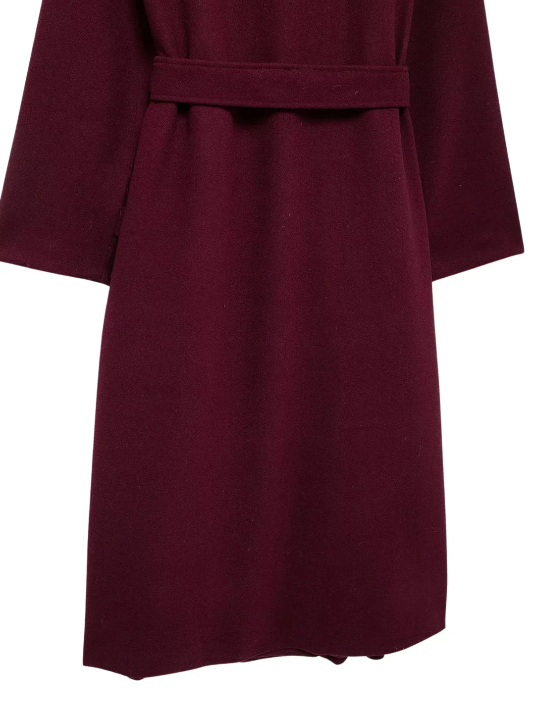 Elegant Winter Look - 4