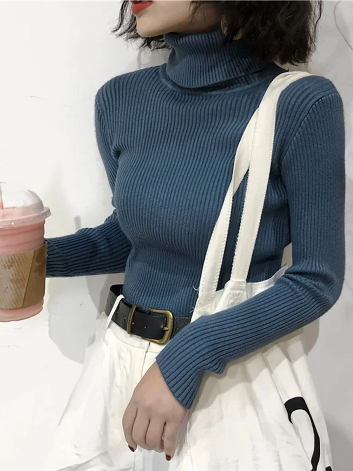 Valentina Ribbed Knit Turtleneck