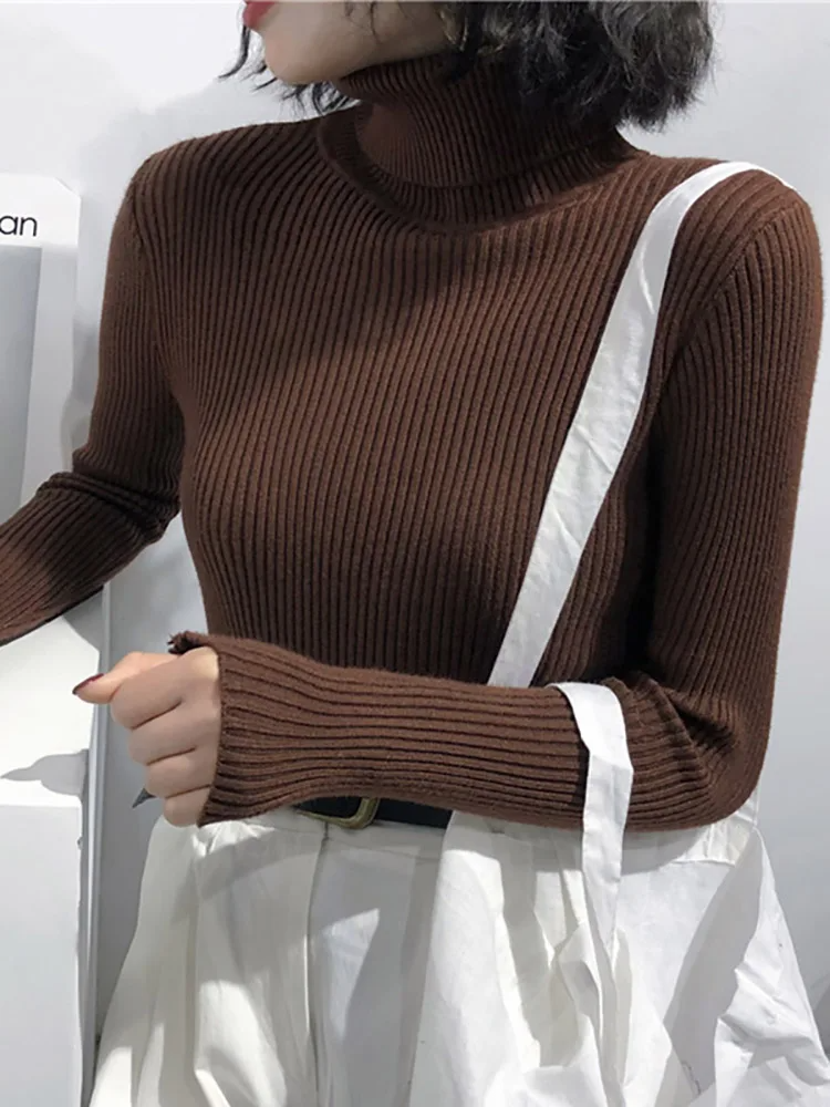 Valentina Ribbed Knit Turtleneck