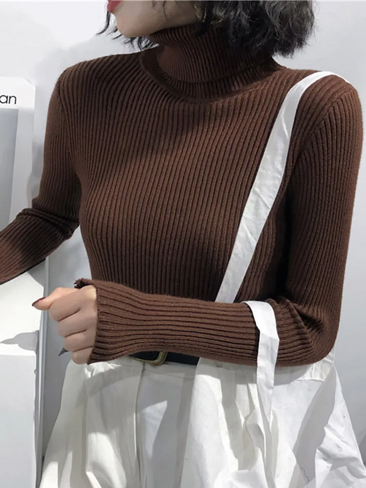 Valentina Ribbed Knit Turtleneck