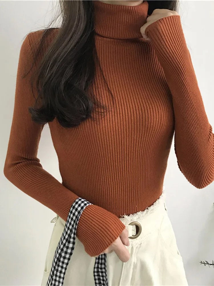 Valentina Ribbed Knit Turtleneck