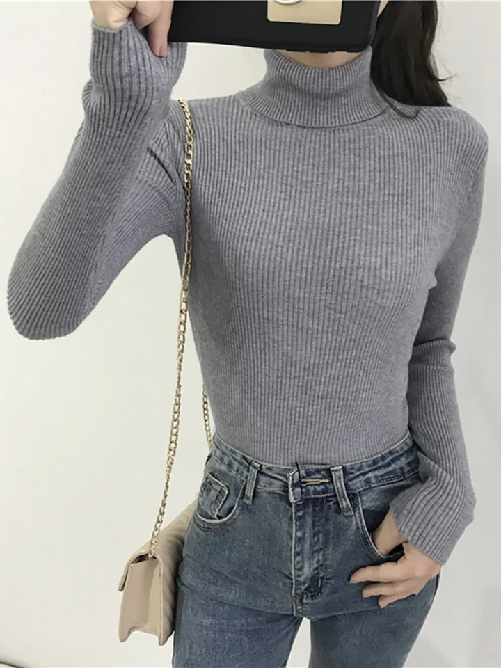 Valentina Ribbed Knit Turtleneck