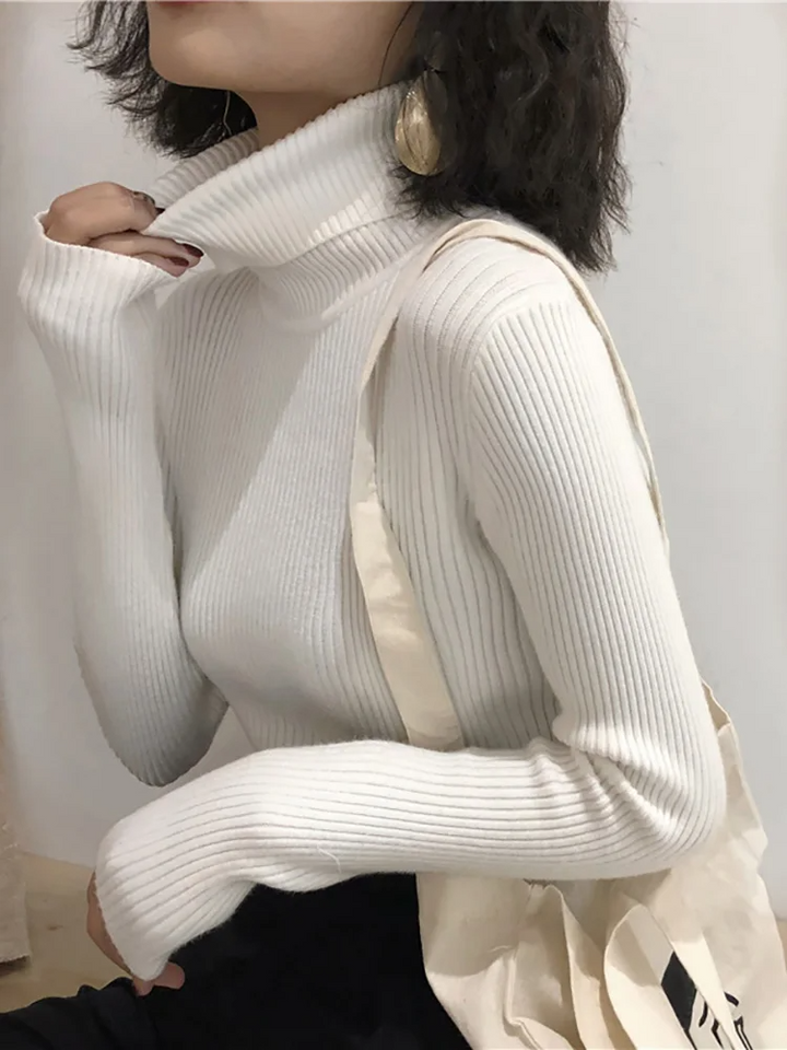 Valentina Ribbed Knit Turtleneck